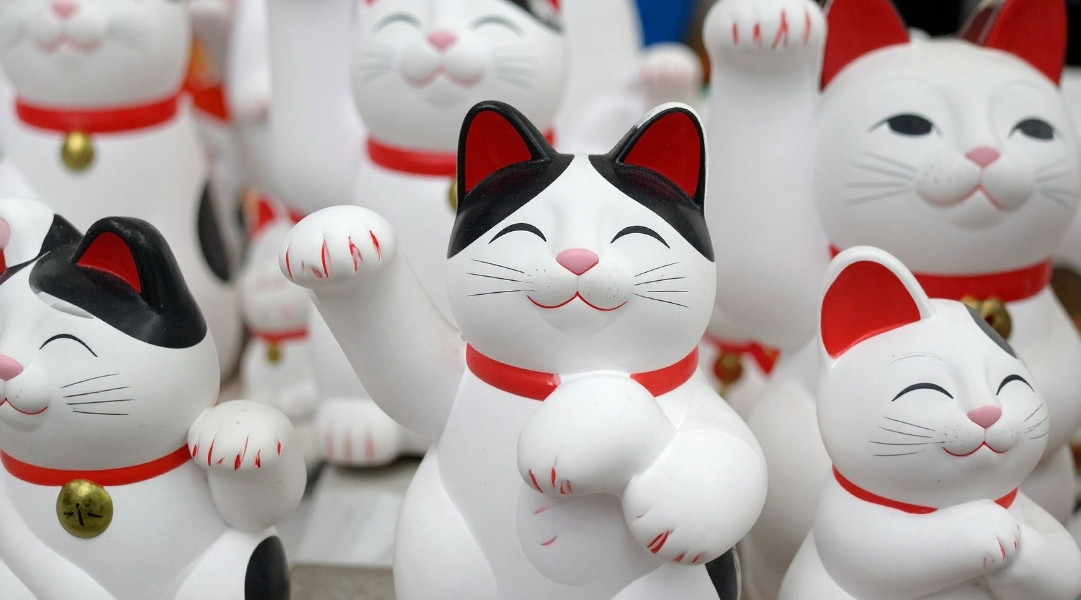Mèo thần tài mang lại vận khí cho doanh nghiệp