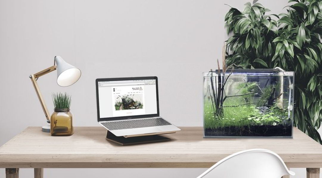 Vật để bàn làm việc theo phong thủy