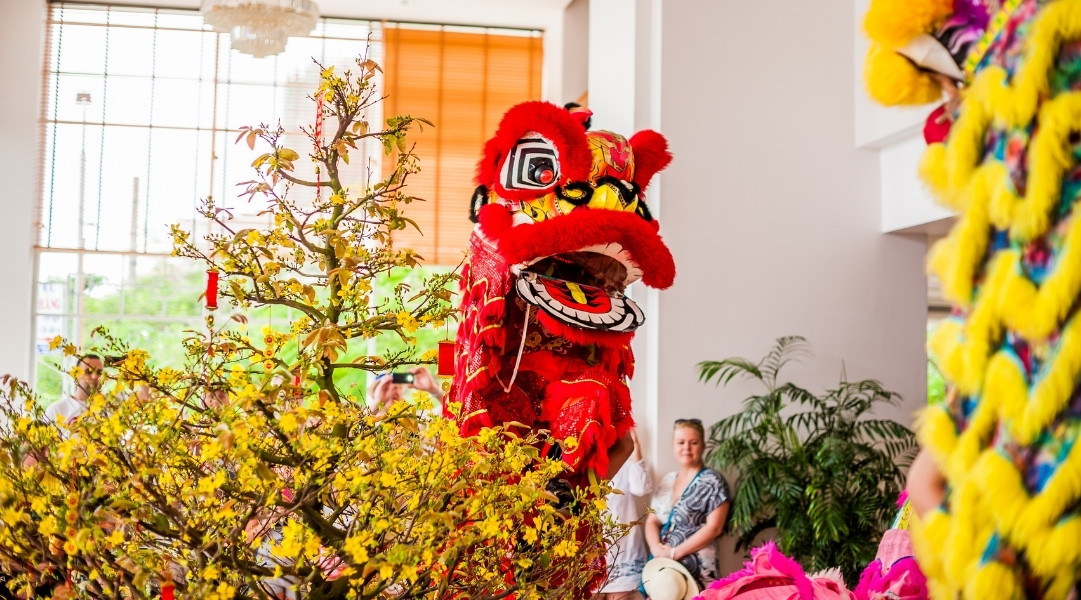 Mẹo trang trí văn phòng Tết đẹp, ấn tượng