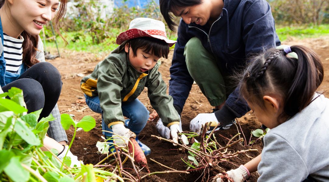 Mở dịch vụ trải nghiệm nông thôn cho khách du lịch